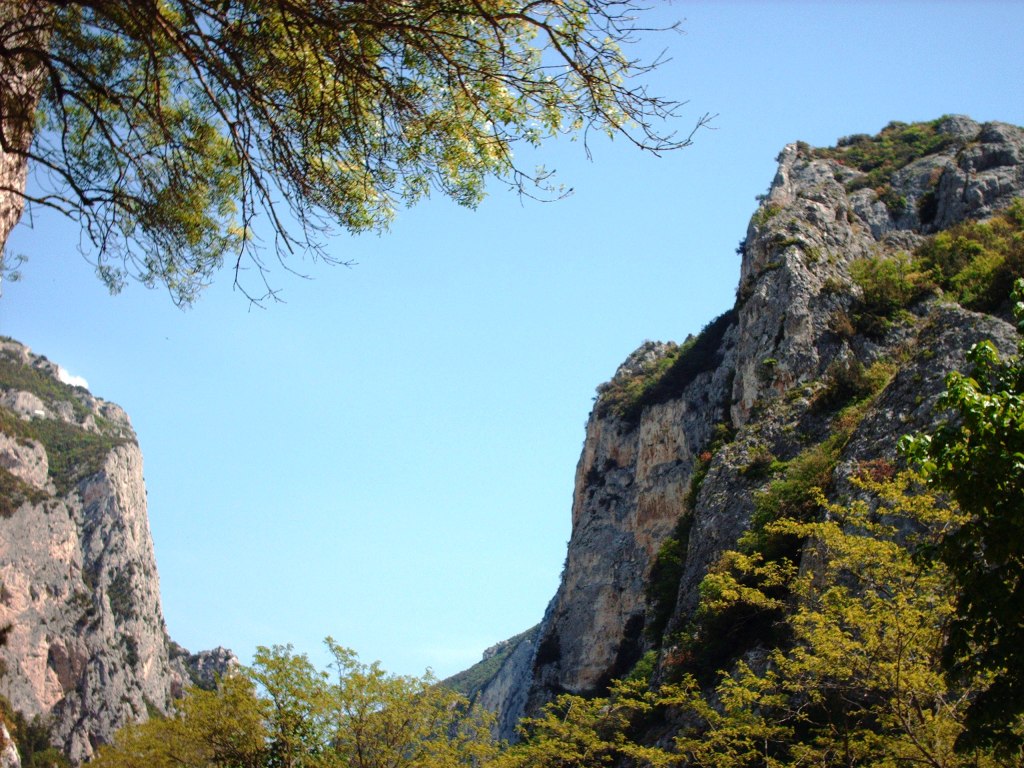 Riserva Naturale Statale Gola del Furlo.